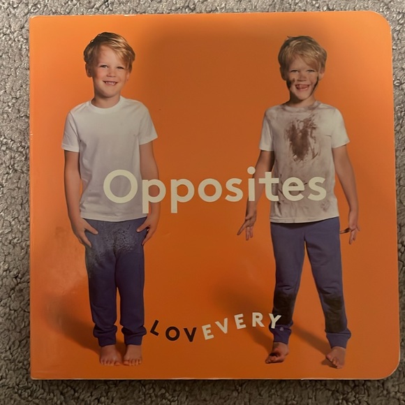Lovevery Other - Lovevery Bored Books - good gently used condition